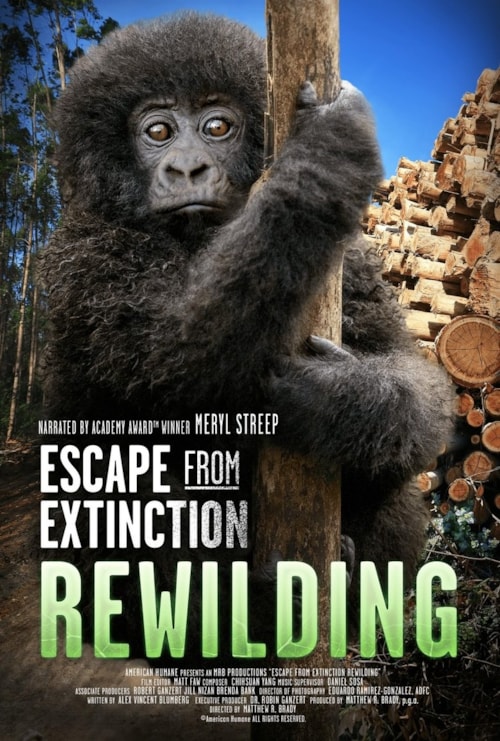 Escape from Extinction: Rewilding poster